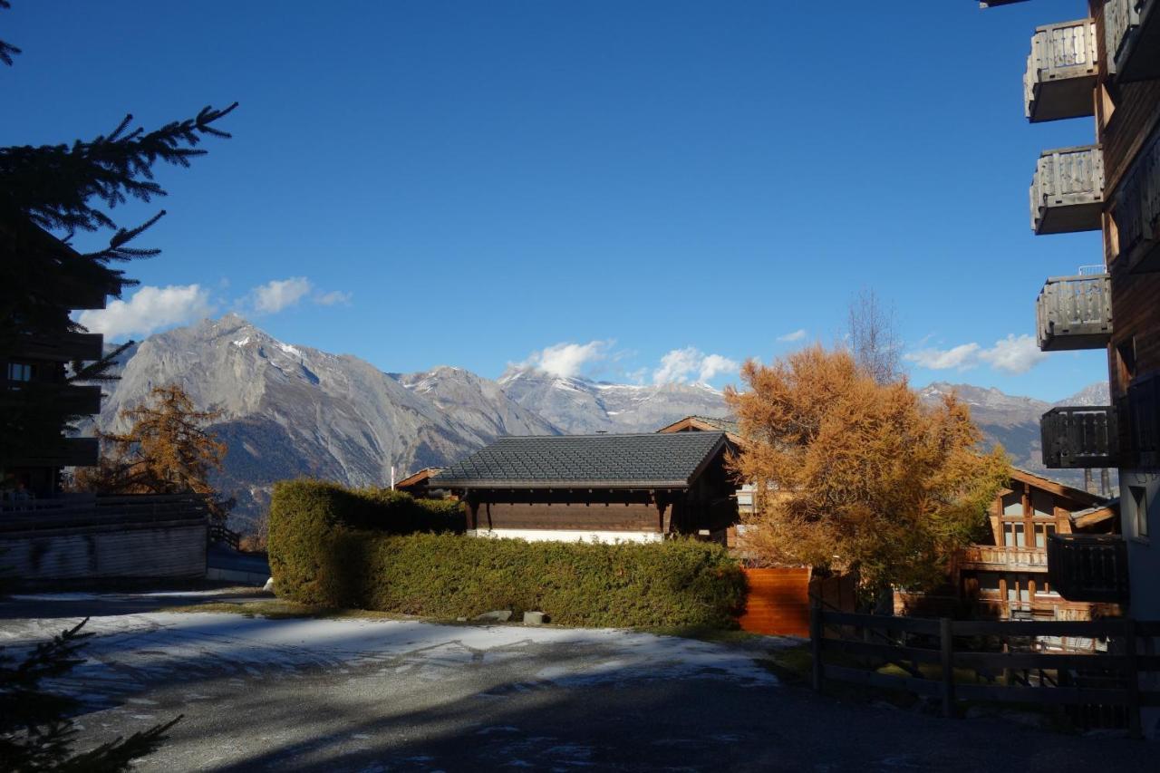 Pracondu Outdoor & Fun Appartement 1 Chambre Avec Balcon By Alpvision Residences Nendaz Dış mekan fotoğraf
