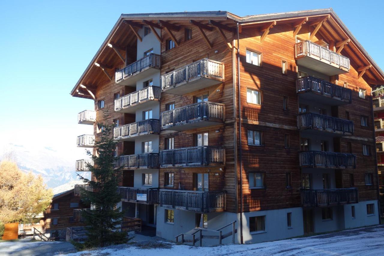 Pracondu Outdoor & Fun Appartement 1 Chambre Avec Balcon By Alpvision Residences Nendaz Dış mekan fotoğraf