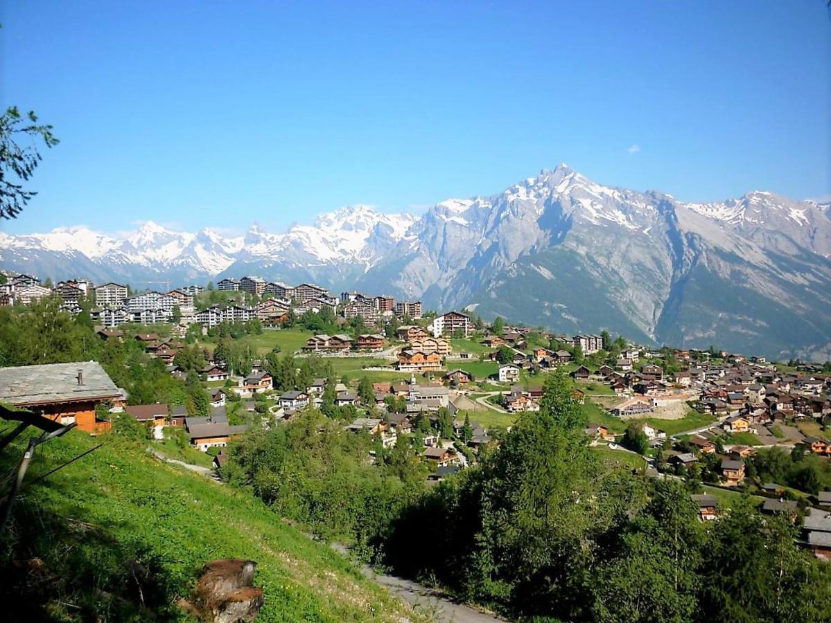 Pracondu Outdoor & Fun Appartement 1 Chambre Avec Balcon By Alpvision Residences Nendaz Dış mekan fotoğraf